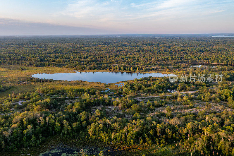 黄昏时的Muskoka Torrance Barrens Dark-Sky保护区，Gravenhurst，加拿大